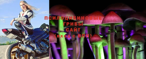 гидропоника Алзамай