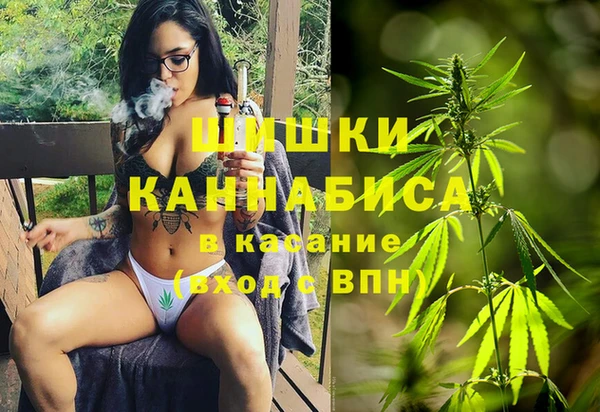 гидропоника Алзамай