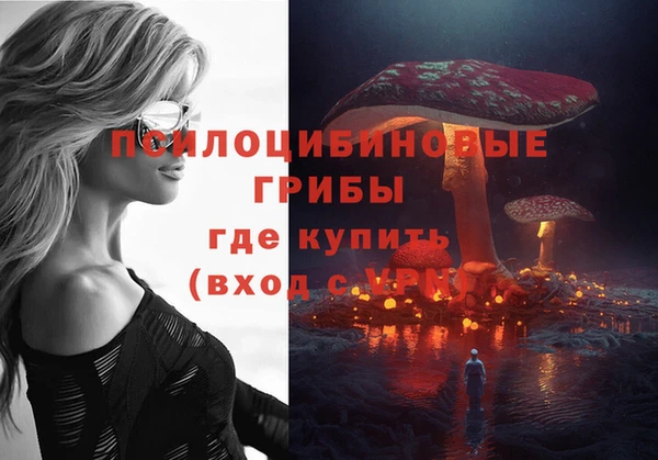 а пвп мука Абаза