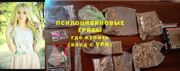 гидропоника Алзамай