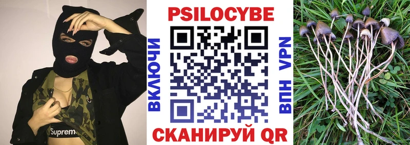 где купить наркоту  Иркутск  Псилоцибиновые грибы MAGIC MUSHROOMS 