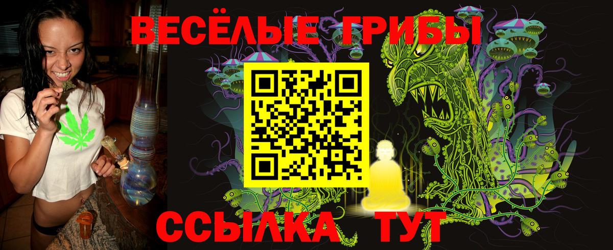 Галлюциногенные грибы Psilocybe  Вход с VPN  Галлюциногенные грибы прущие грибы  Иркутск 